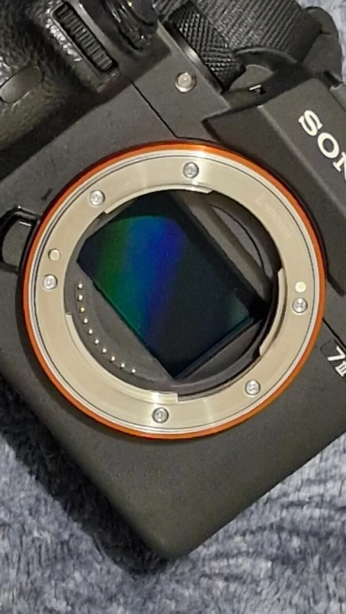 Sony Alpha 7 III (A7 III)