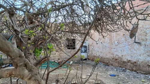 Vente Villa Sidi Bel Abbès Sidi lahcene