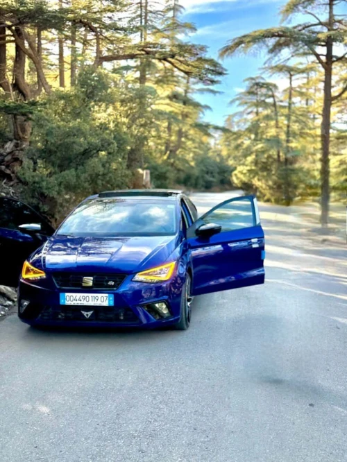 Seat Ibiza 2019 FR