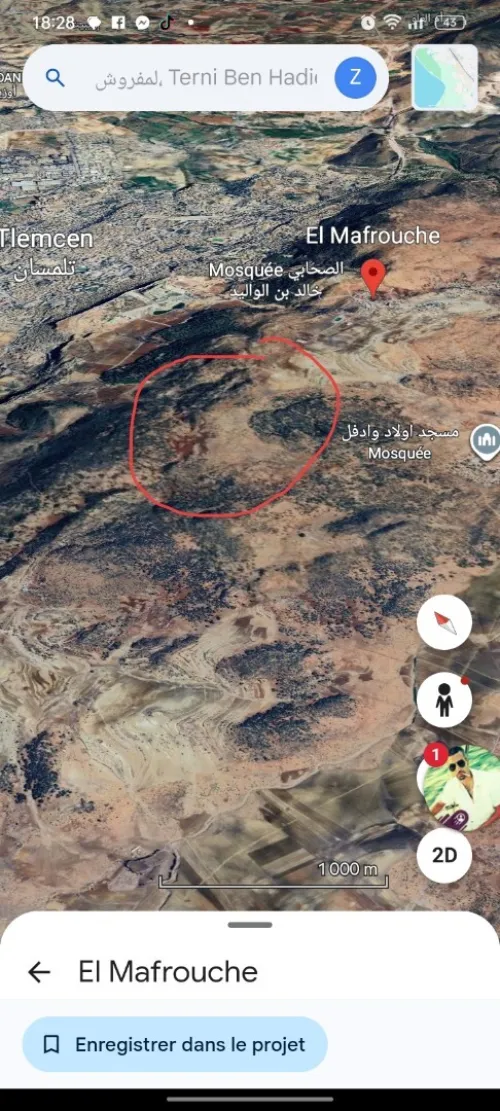 Vente Terrain Agricole Tlemcen Tirni beni hediel