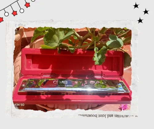 Harmonica qmei 26