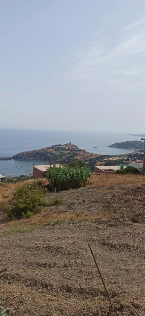 Vente Terrain Tipaza Gouraya