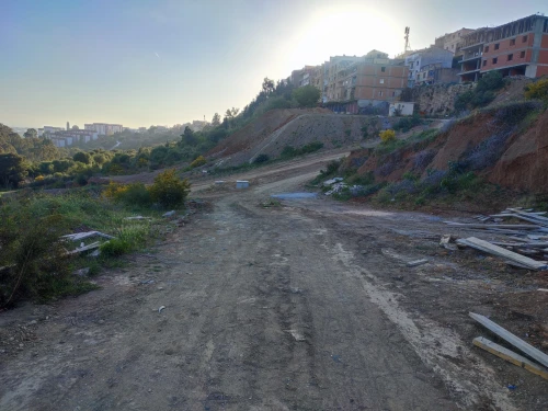 Vente Terrain Alger Beni messous