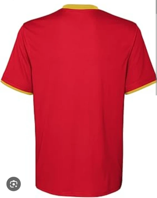T-shirt maillot Espagne original 