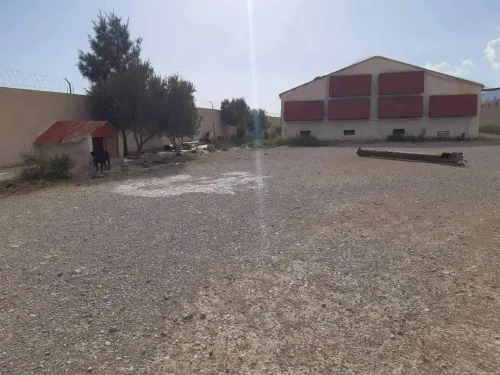 Vente Terrain Agricole Batna Merouana