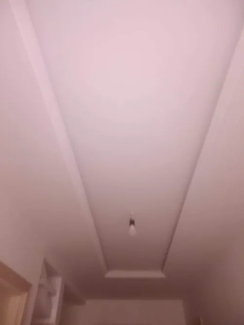 platre prochti e panter