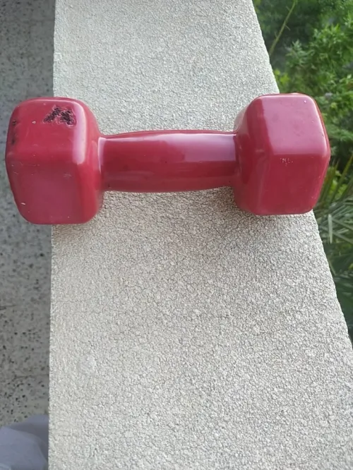 2 haltères de musculation a vendre