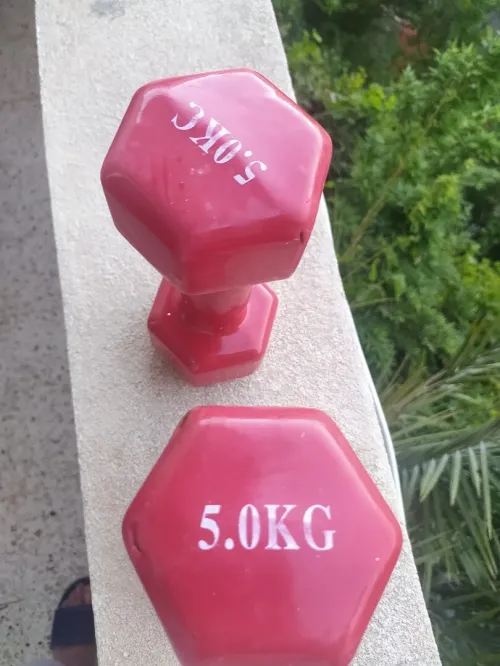 2 haltères de musculation a vendre