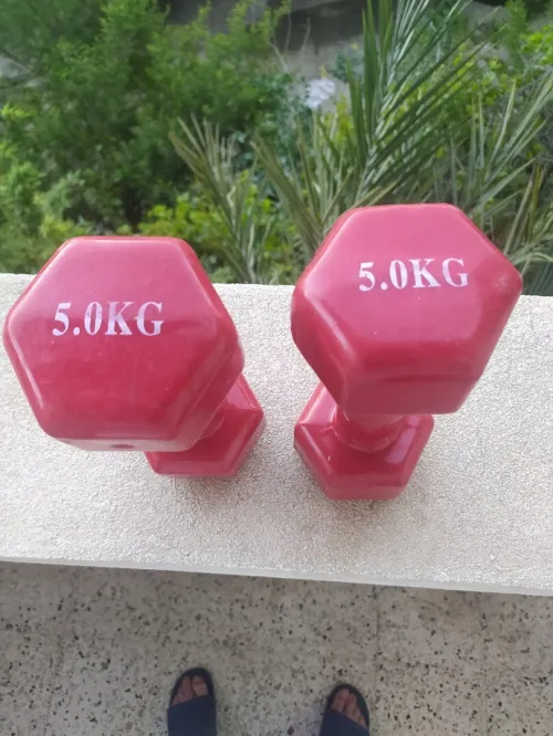 2 haltères de musculation a vendre