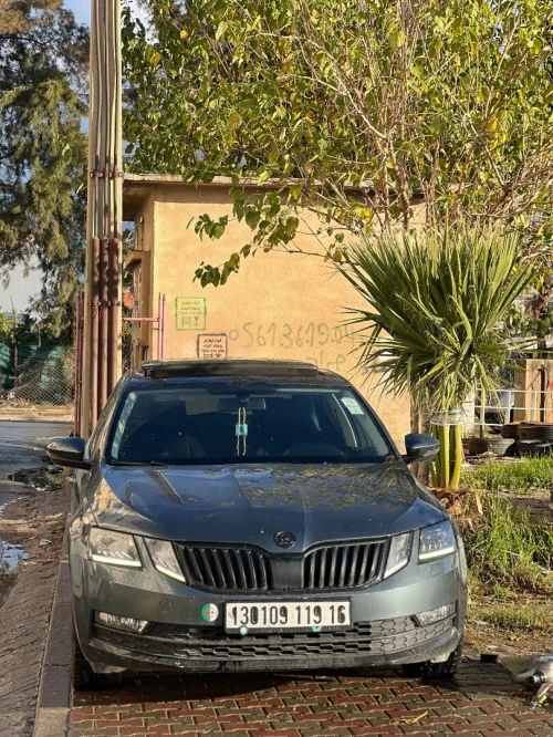 Skoda Octavia 2019 Clever