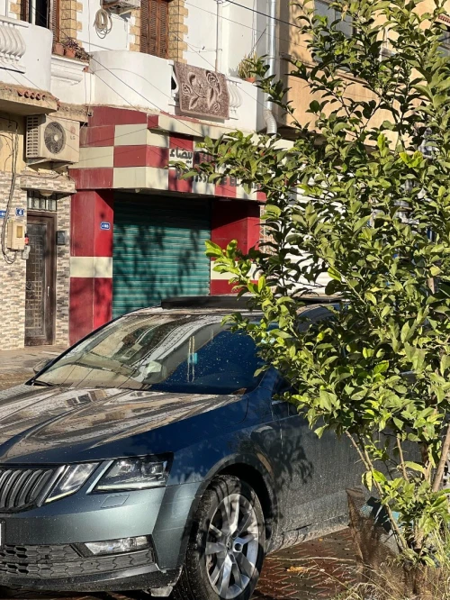 Skoda Octavia 2019 Clever