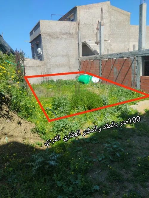 Vente Terrain Tipaza Cherchell
