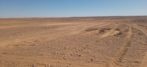 Vente Terrain Agricole El Menia El Meniaa