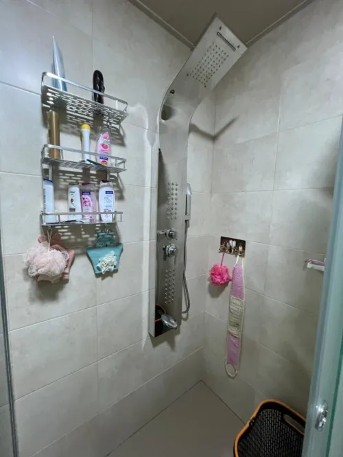 Vente Appartement F3 Alger Dely brahim