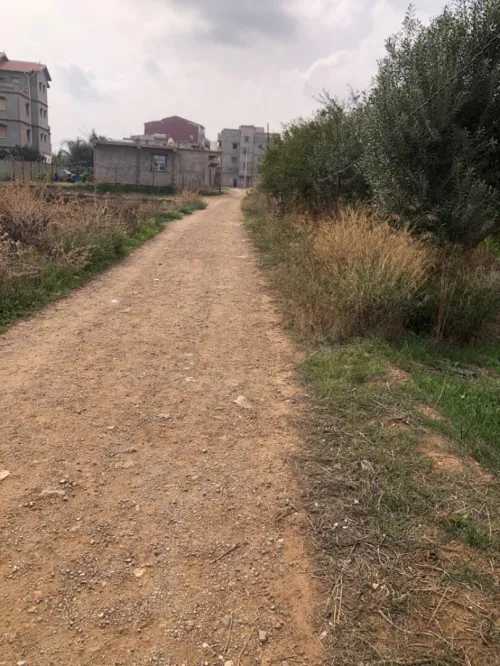 Vente bien immobilier Boumerdès Ouled moussa