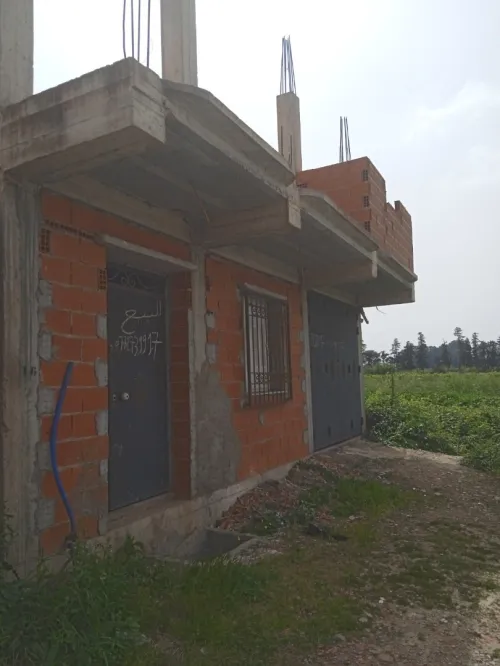 Vente Carcasse Blida Boufarik