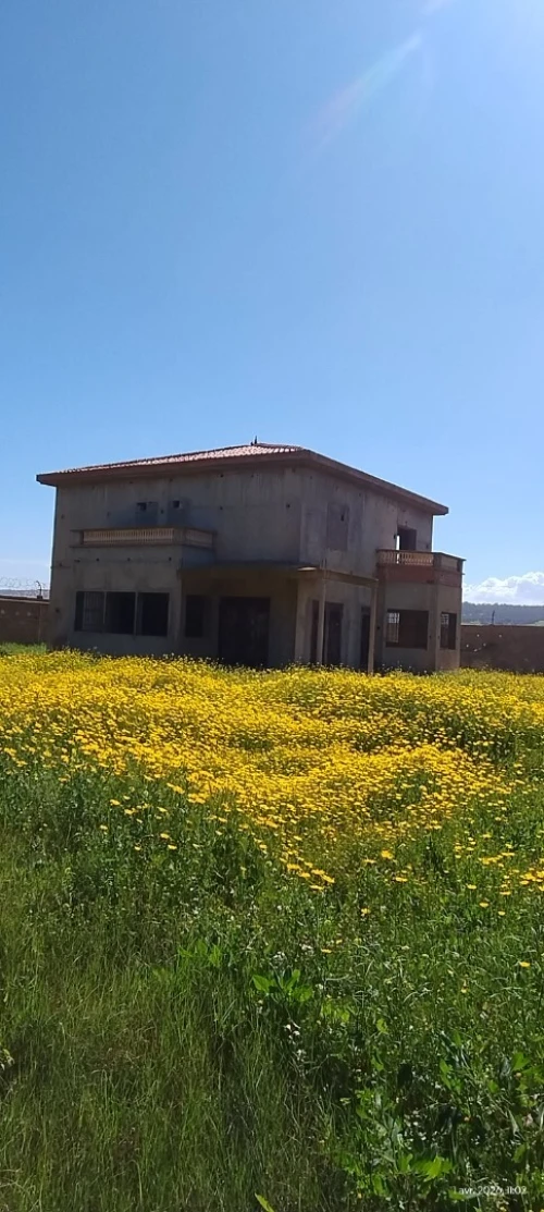 Vente Terrain Agricole Mostaganem Stidia