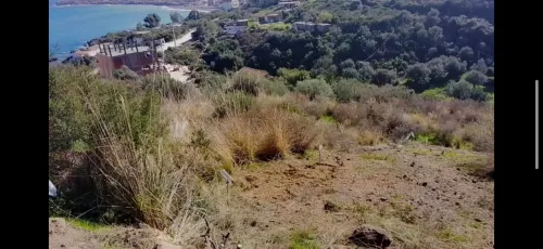 Vente Terrain Béjaïa Bejaia