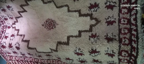 زربية صوف tapis de laine 