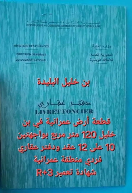 Vente Terrain Blida Ben khellil