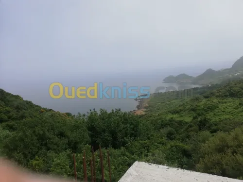 Vente Terrain Jijel El aouana