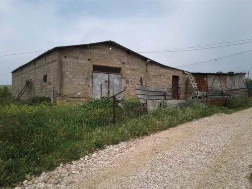 Location Terrain Agricole Skikda Azzaba