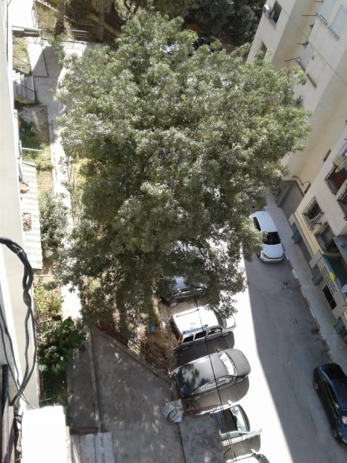 Vente Appartement F5 Skikda Skikda