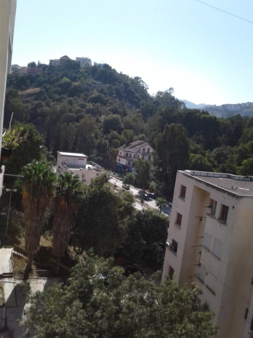 Vente Appartement F5 Skikda Skikda