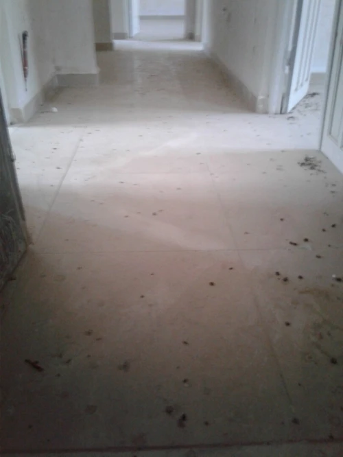 Vente Appartement F4 Skikda Skikda