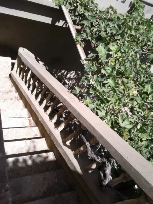 Vente Villa Skikda Skikda