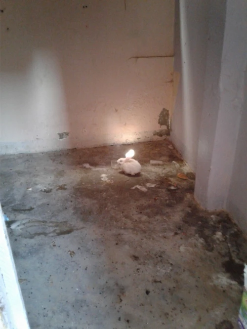 Vente Appartement F4 Skikda Azzaba