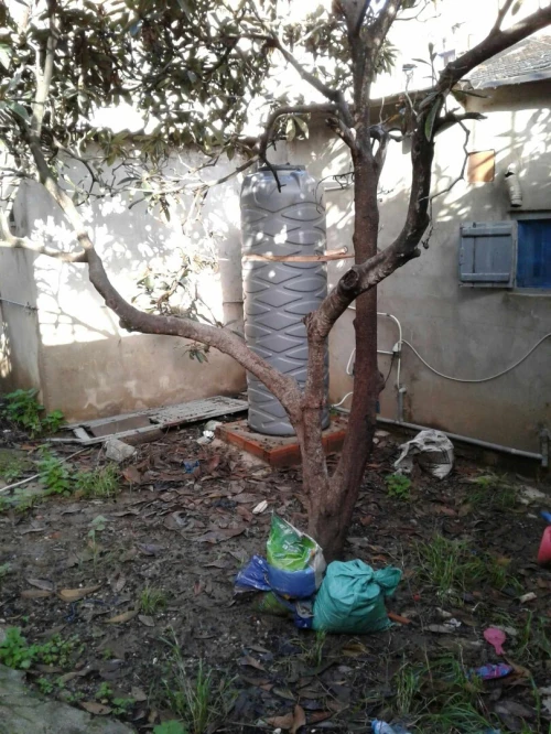 Vente Terrain Skikda Skikda