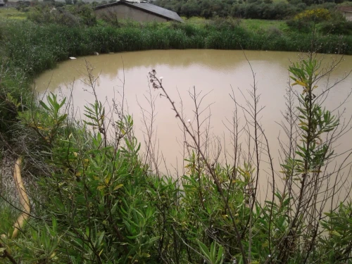 Location Terrain Agricole Skikda Azzaba
