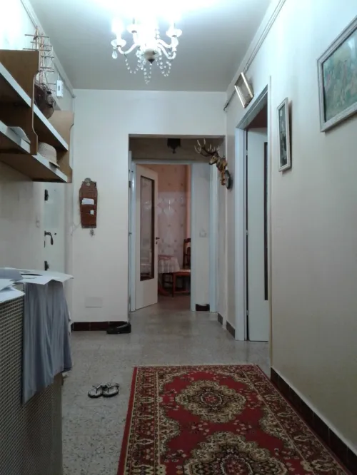 Location Appartement F3 Skikda Skikda