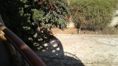 Vente Villa Skikda Ramdane djamel