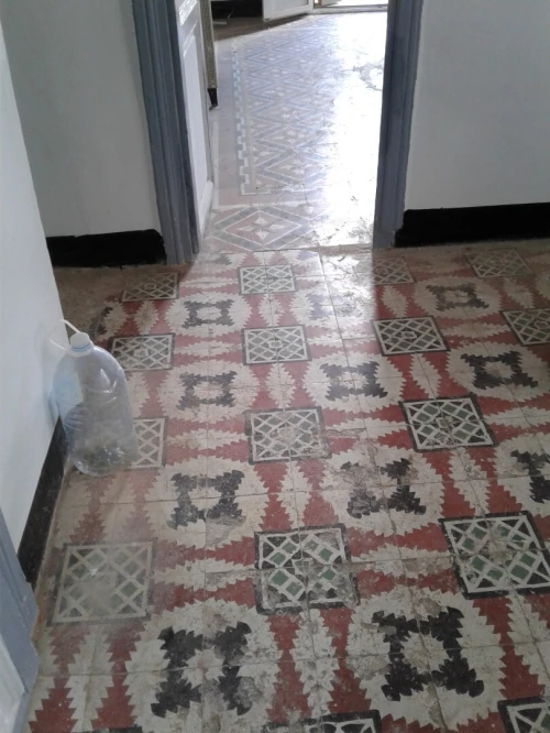 Location Appartement F3 Skikda Skikda