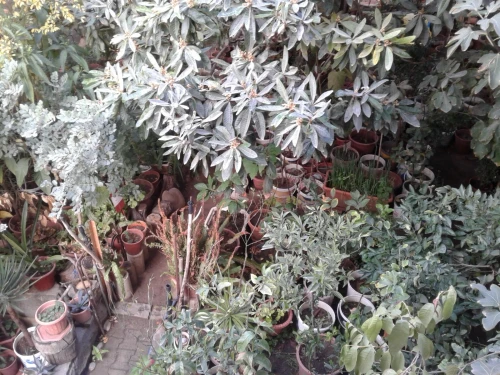 Vente Appartement Niveau de villa F5 Skikda Skikda