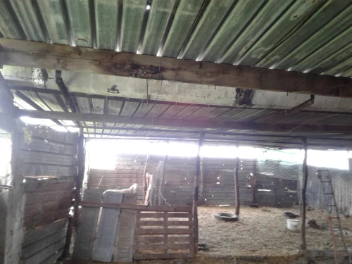 Location Terrain Agricole Skikda Azzaba