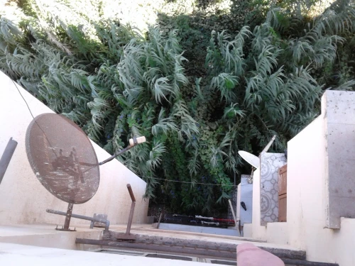 Vente Appartement F5 Skikda Skikda