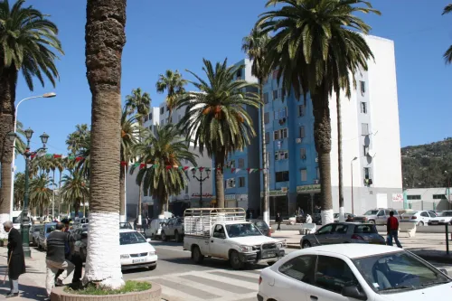 Vente Terrain Skikda Skikda