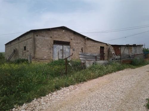 Location Terrain Agricole Skikda Azzaba