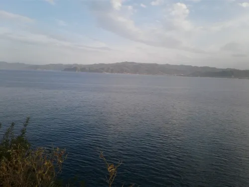 Vente Terrain Skikda Collo