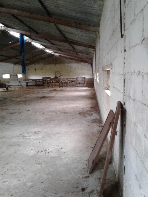 Location Terrain Agricole Skikda Azzaba