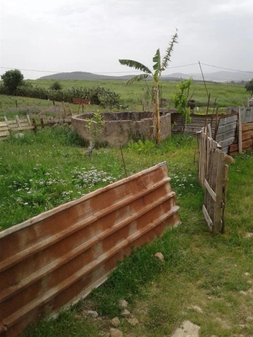Location Terrain Agricole Skikda Azzaba