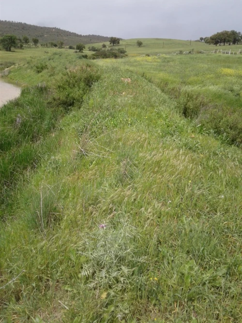Location Terrain Agricole Skikda Azzaba