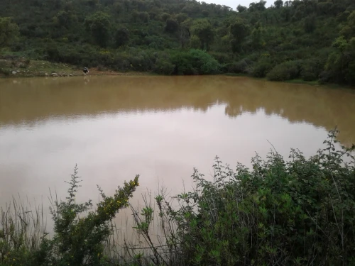 Location Terrain Agricole Skikda Azzaba