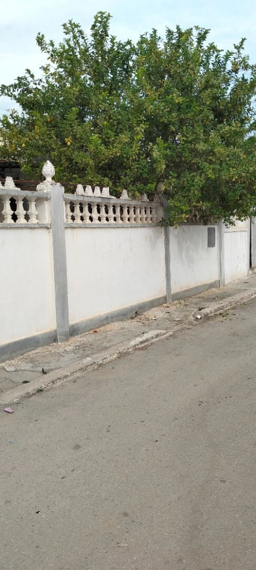 Vente Villa El Tarf Drean