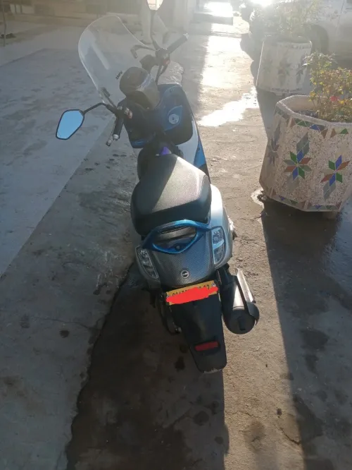 Coxi Scoter 2022