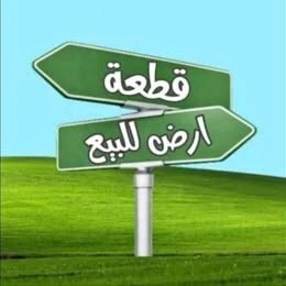 Vente Terrain Chlef Ouled fares