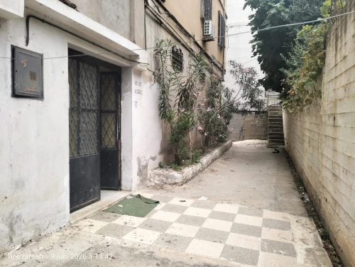 Vente Appartement F3 Alger Bouzareah
